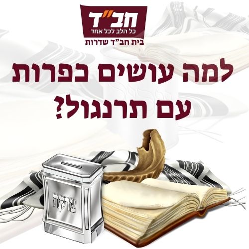 למה עושים כפרות עם תרנגול